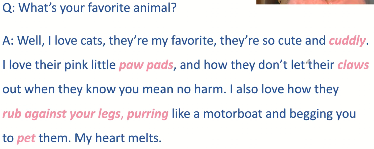 img/speaking-skills-182.png